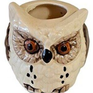 Vtg Angry Owl Toothpick Holder